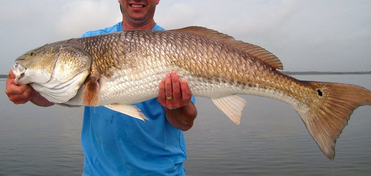 Red Drum Fishing on the Outer Banks of North Carolina