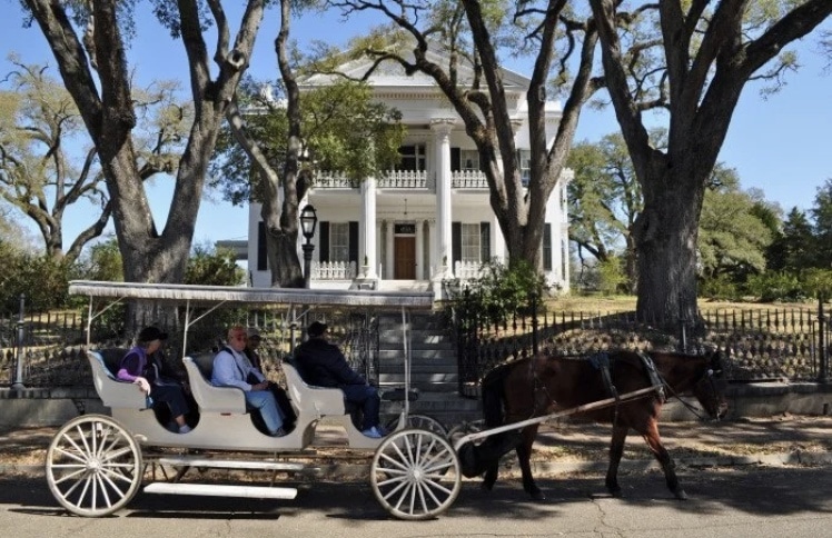Go for a carriage ride in the historic Natchez