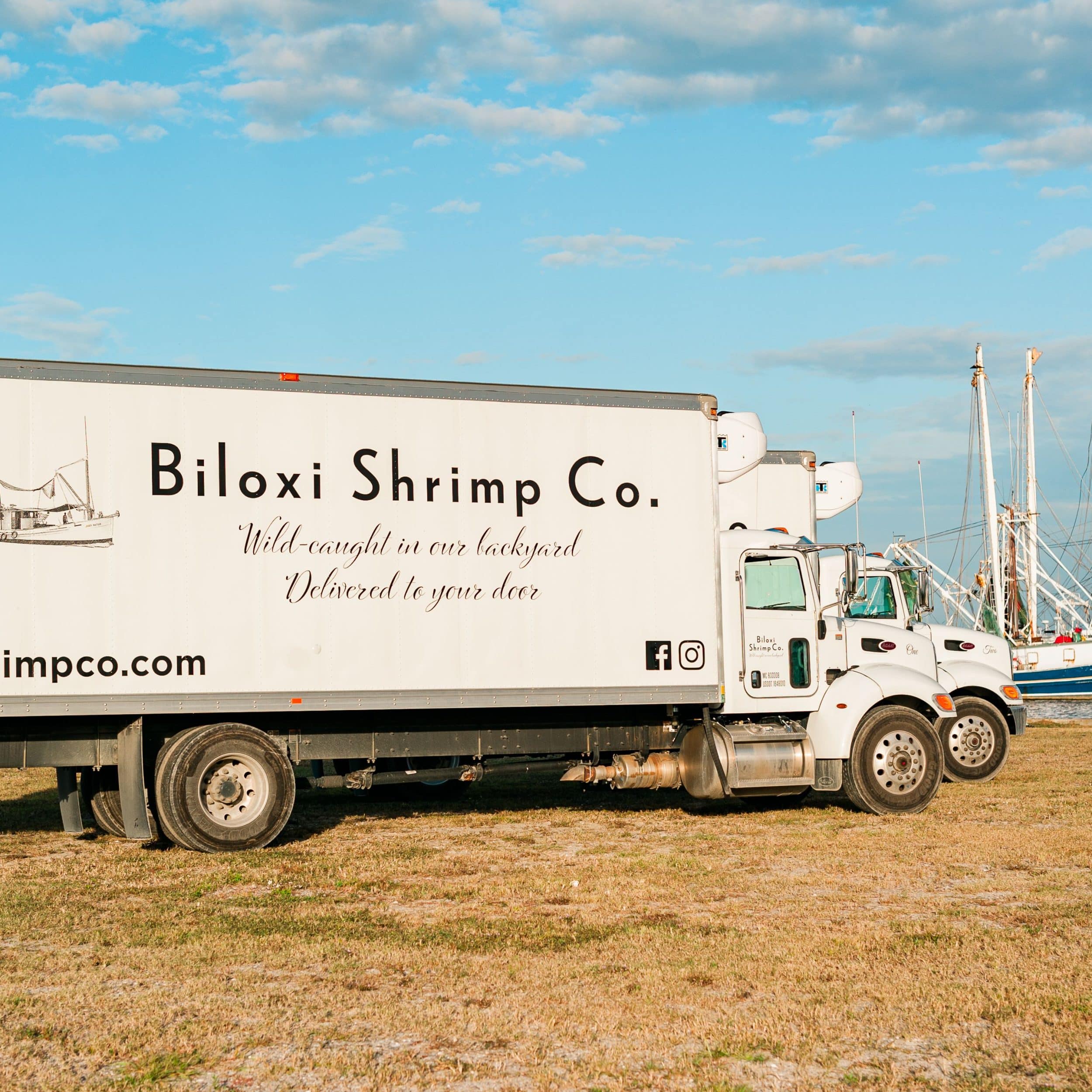 biloxi shrimp company