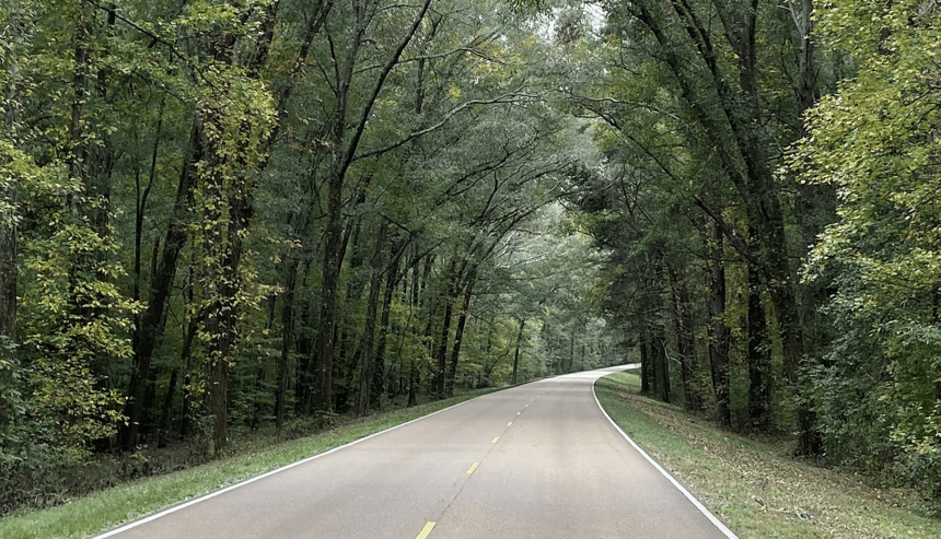 The History of the Natchez Trace | Our Mississippi Home