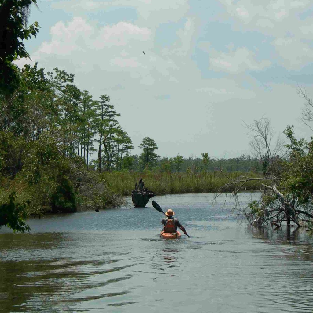 Bennet Bayou with Kayaker - LaSalle