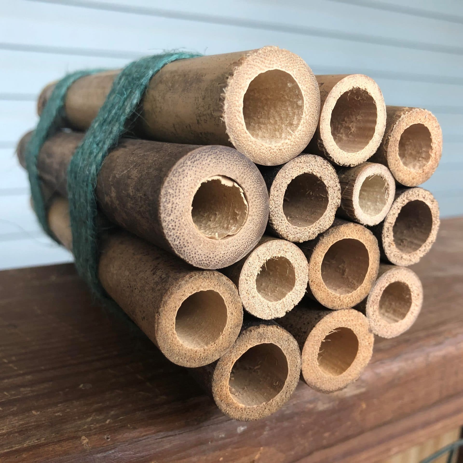 Summertime Nature with Bored Kids – Make a Bee House Bee-House-Square-1920x1920-1