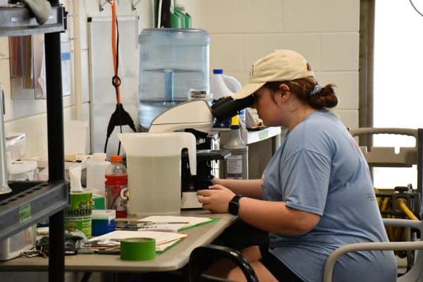 Mississippi to Help Expand U.S. Seafood Production