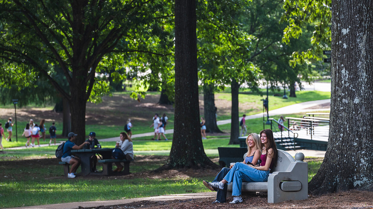 TVA Gift Helps Restore Ole Miss Tree Canopy