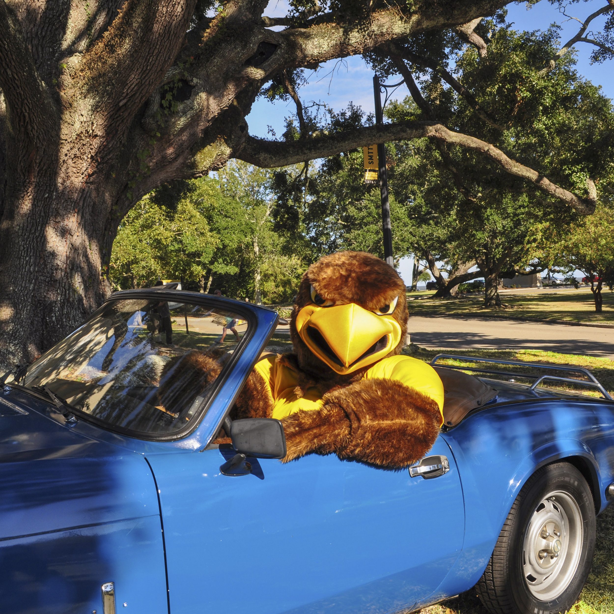 Southern Miss Cruisin’ Returns Oct. 5