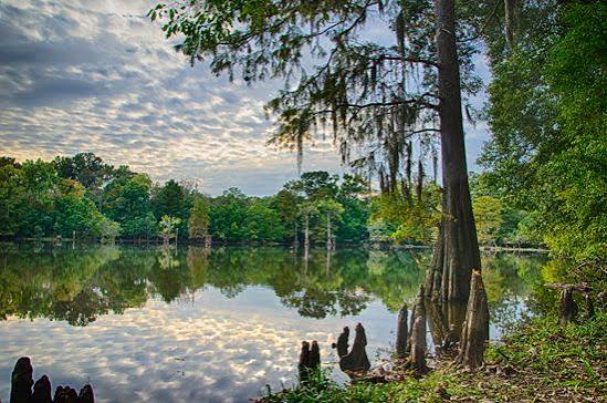 Belhaven’s Project Dance Jackson Offers Colorful Performances and Hourly “Flash Mobs” at LeFleur’s Bluff