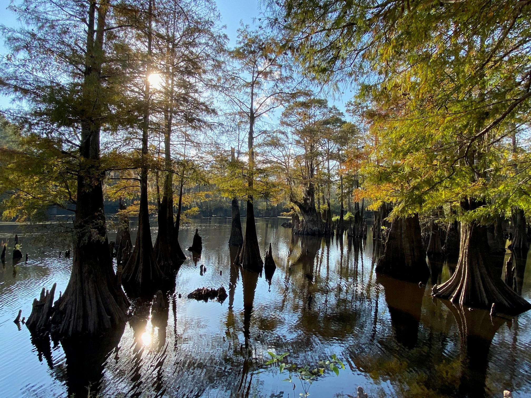 Fifty Years of Conservation on the Pascagoula River